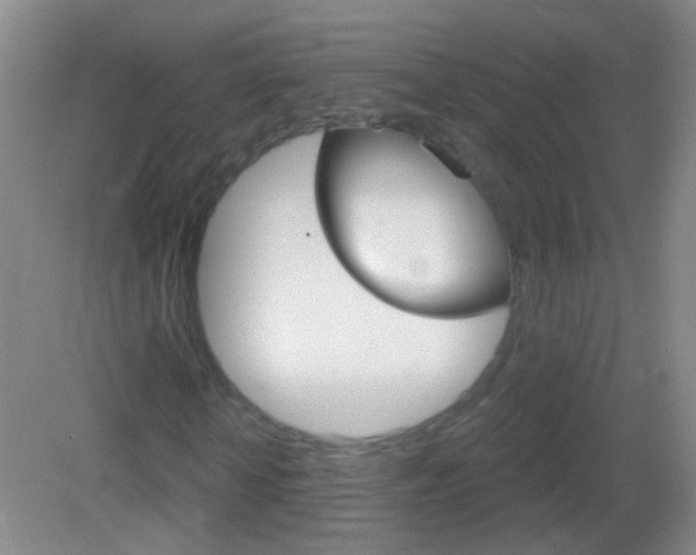 X0000083050818200702021008