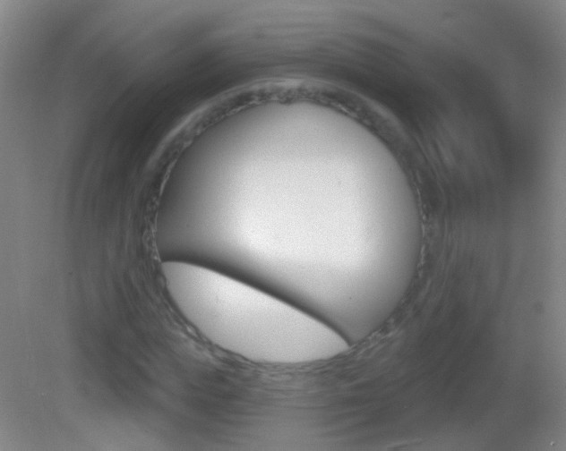 X0000083050823200702021008