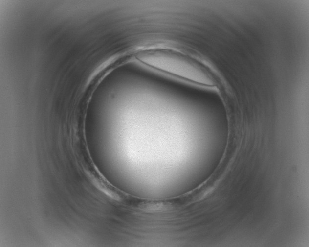 X0000083050826200702021008