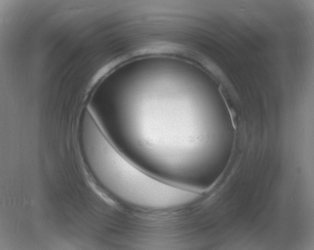 X0000083050842200702021008
