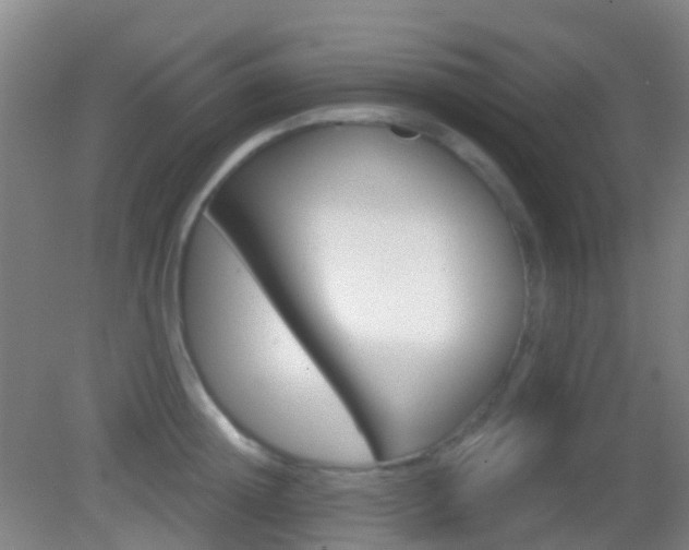 X0000083050852200702021008