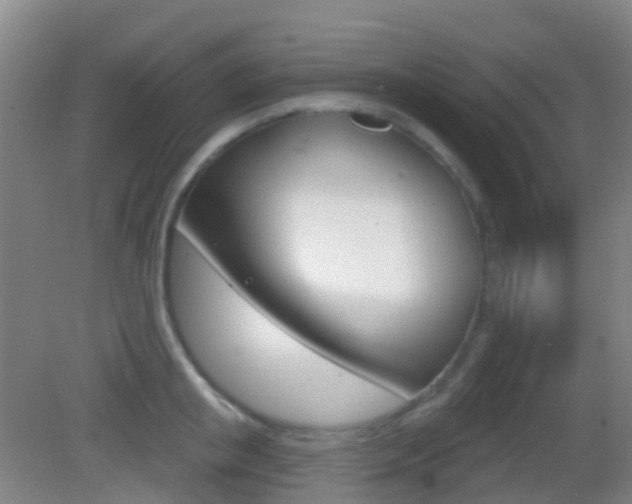 X0000083050853200702021008
