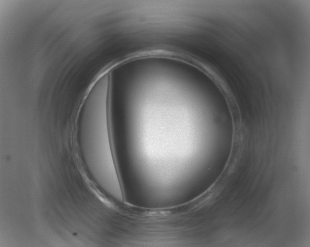 X0000083050858200702021008