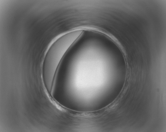 X0000083050862200702021008