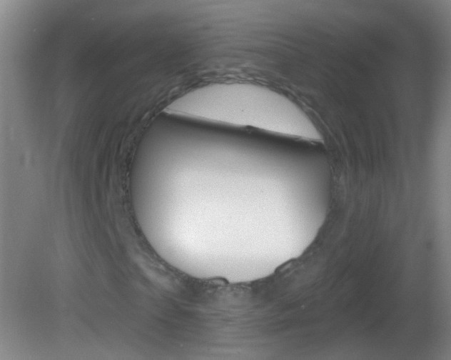 X0000083050865200702021007
