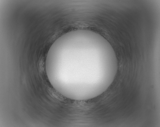 X0000083050866200702021007