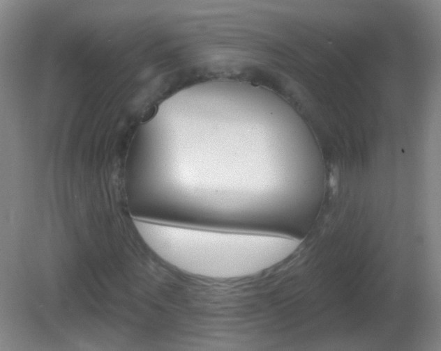 X0000083050867200702021007