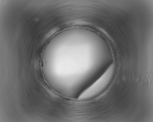X0000083050873200702021007