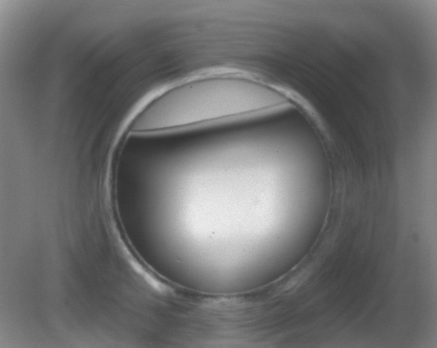 X0000083050902200702021007