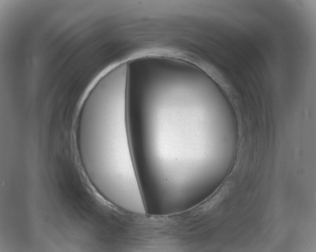 X0000083050912200702021007