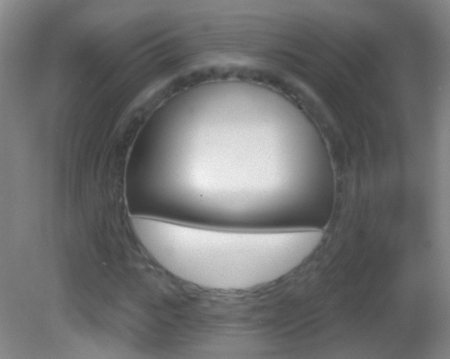 X0000083050919200702021006