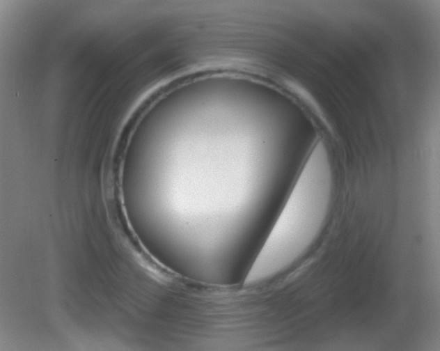 X0000083050924200702021006