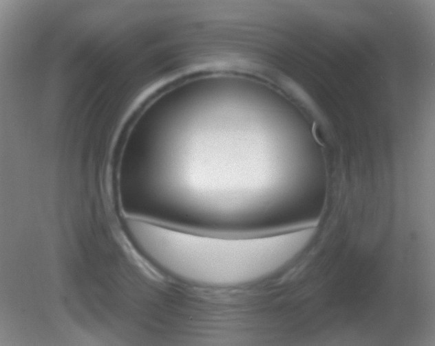 X0000083050932200702021006