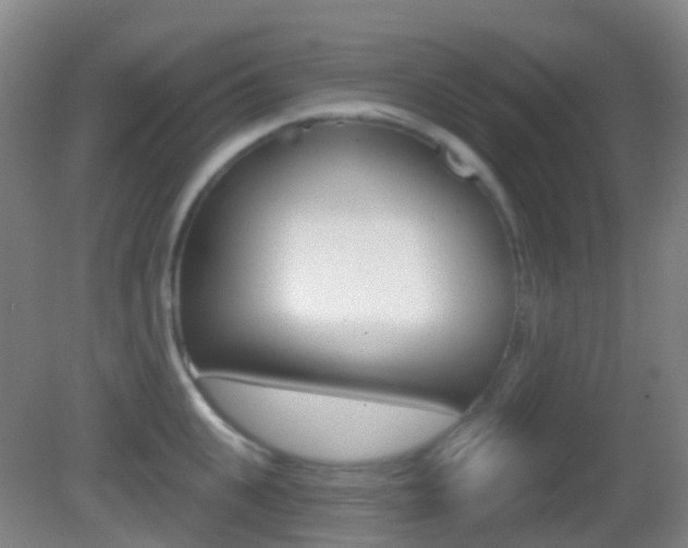 X0000083050951200702021007