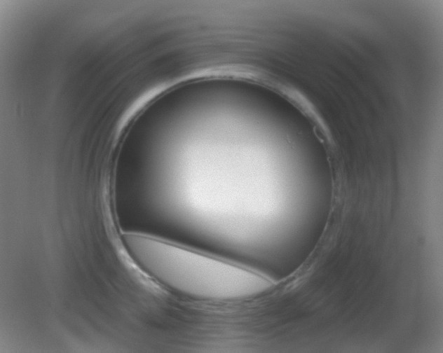 X0000083050952200702021007