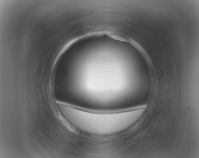 X0000083050956200702021007