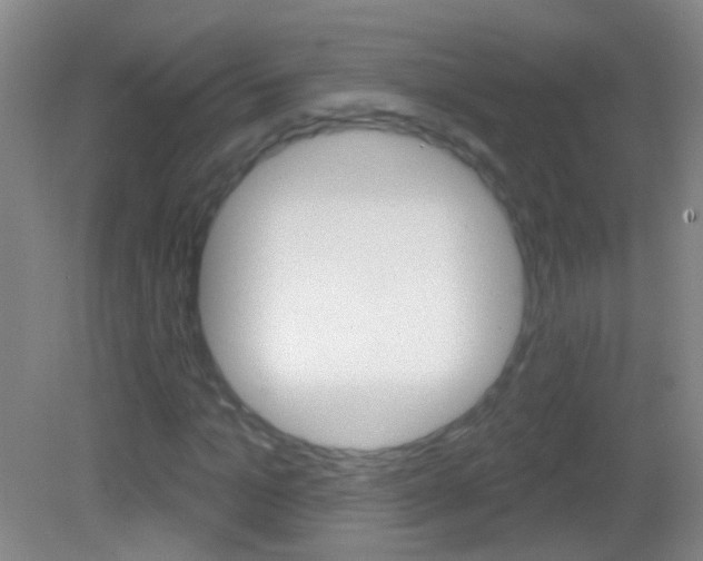 X0000083050965200702021006