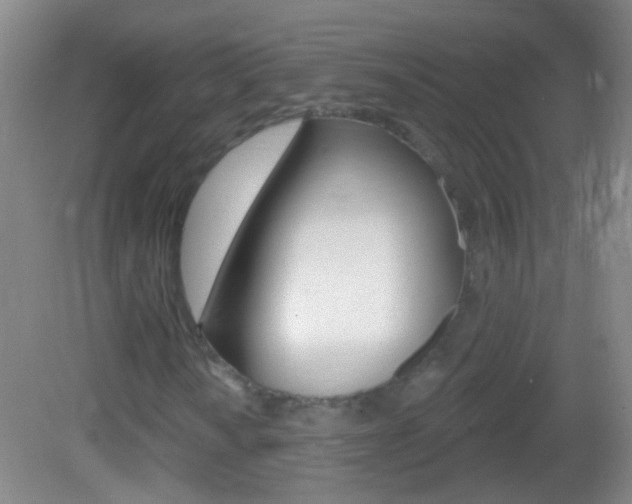 X0000083051010200702021004