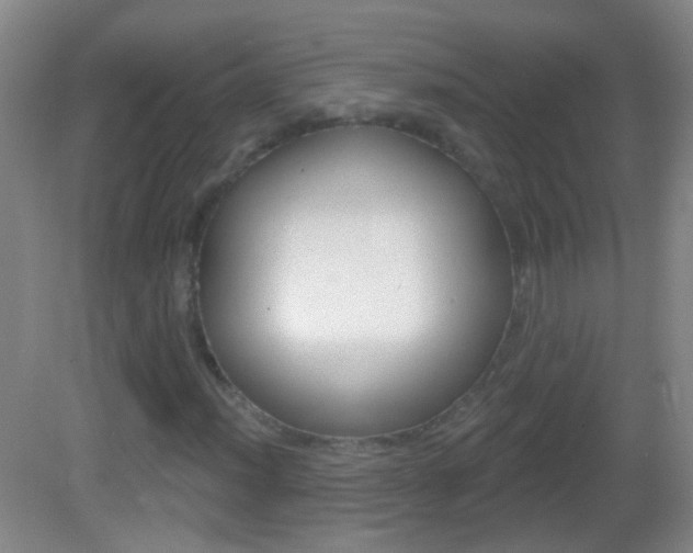 X0000083051012200702021004