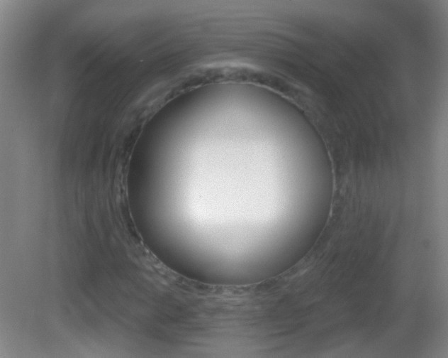 X0000083051014200702021004