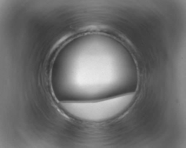 X0000083051018200702021004