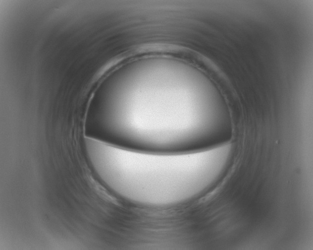 X0000083051025200702021005