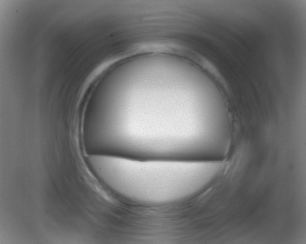 X0000083051035200702021005