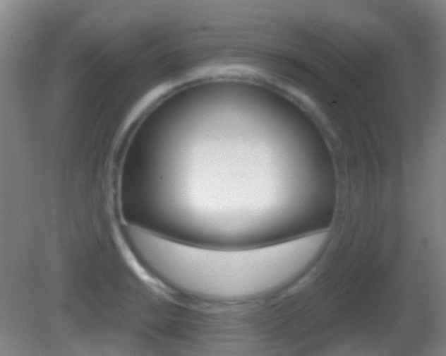 X0000083051038200702021005