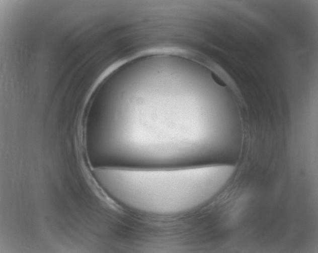 X0000083051044200702021005