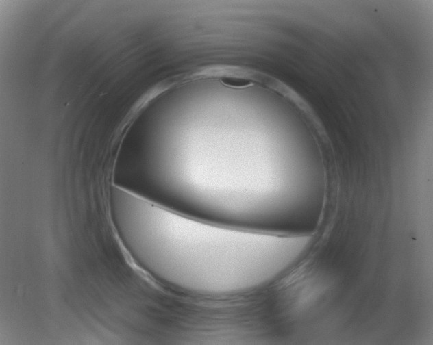 X0000083051049200702021005
