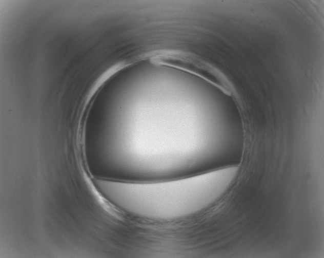 X0000083051050200702021005
