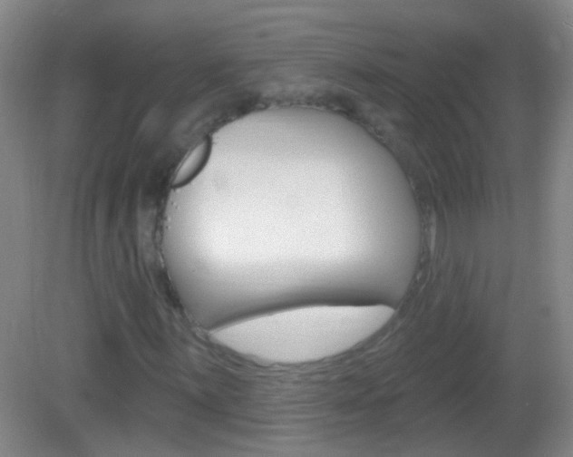 X0000083051059200702021004