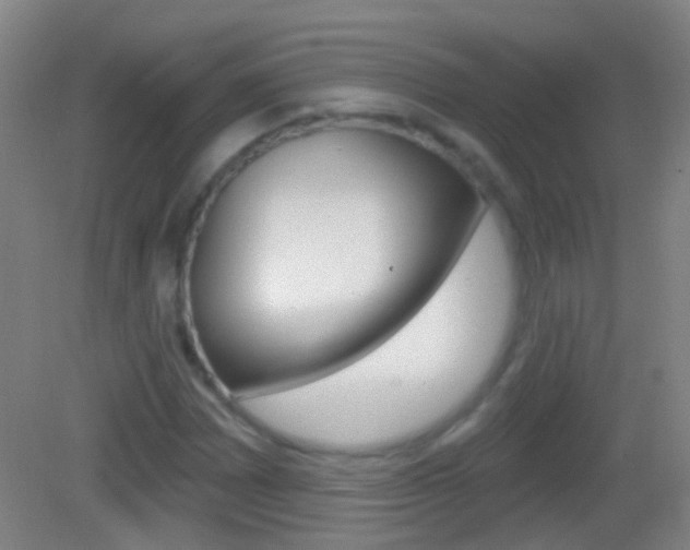 X0000083051065200702021004