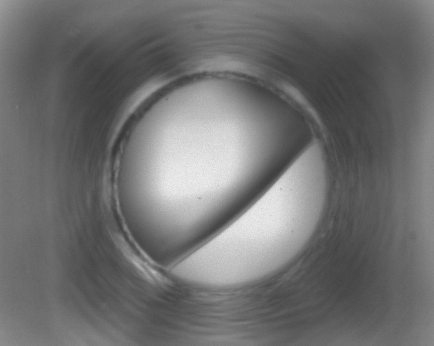 X0000083051076200702021004