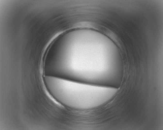 X0000083051084200702021004
