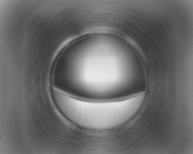 X0000083051085200702021004