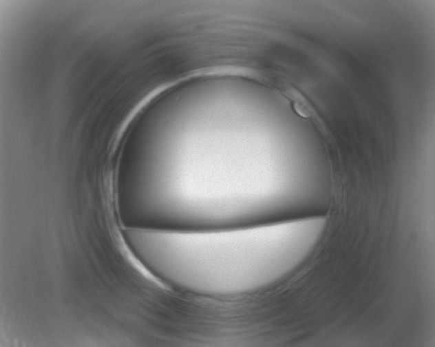 X0000083051092200702021004
