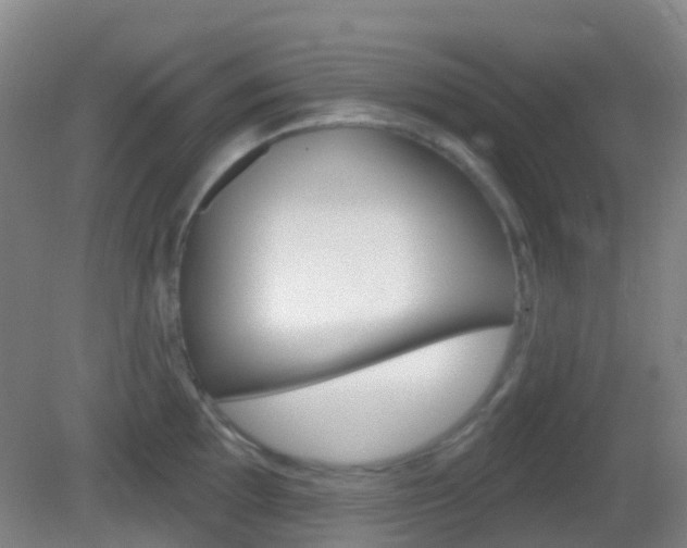 X0000083051097200702021004