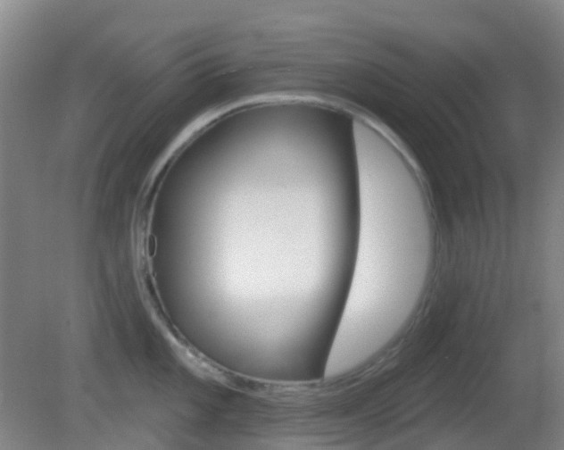 X0000083051101200702021004