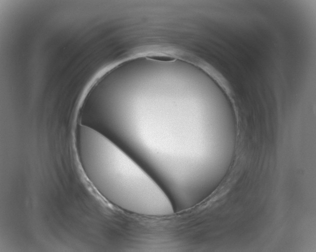 X0000083051104200702021003