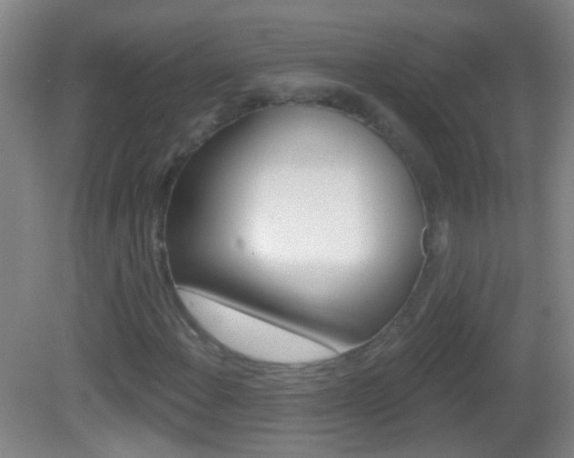 X0000083051108200702021003
