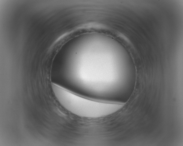 X0000083051112200702021003