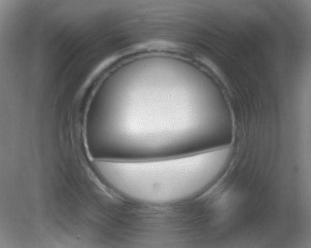 X0000083051115200702021003