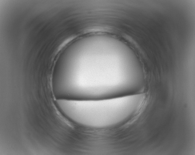 X0000083051121200702021003