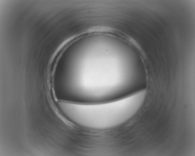 X0000083051124200702021003