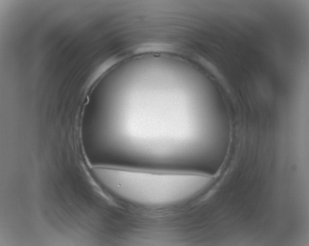X0000083051129200702021003