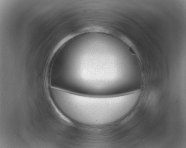 X0000083051141200702021003