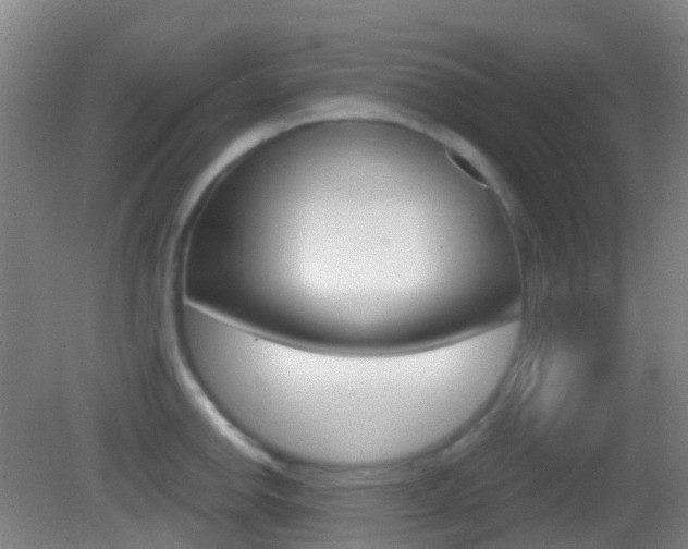 X0000083051142200702021003