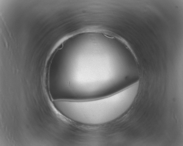 X0000083051147200702021003