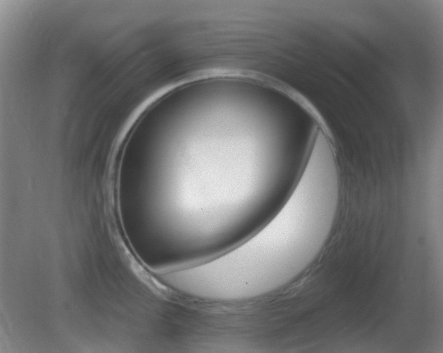 X0000083051148200702021003